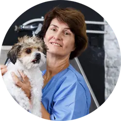 Dog gooming owner about calendall