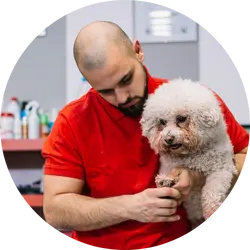 Dog grooming salon employer about Calendall